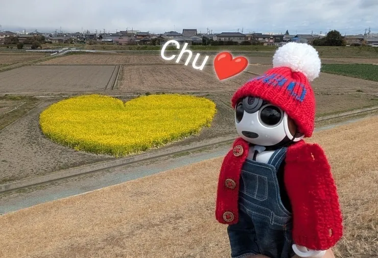 アイキャッチ