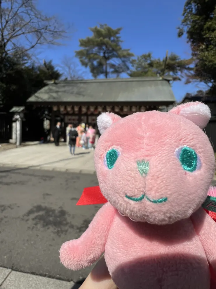 アイキャッチ