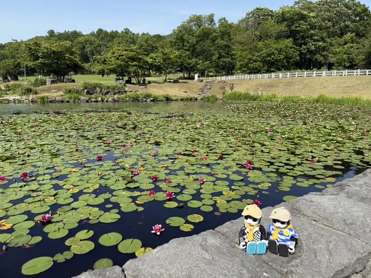 アイキャッチ