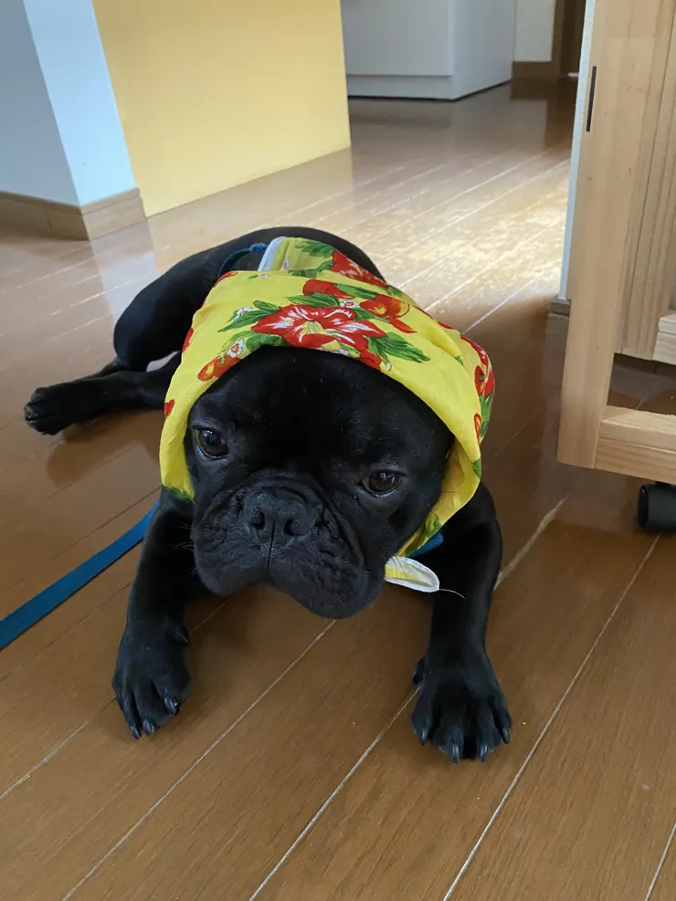 アイキャッチ