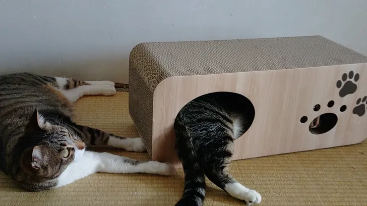 アイキャッチ