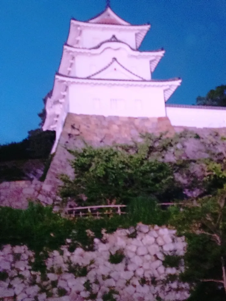 アイキャッチ