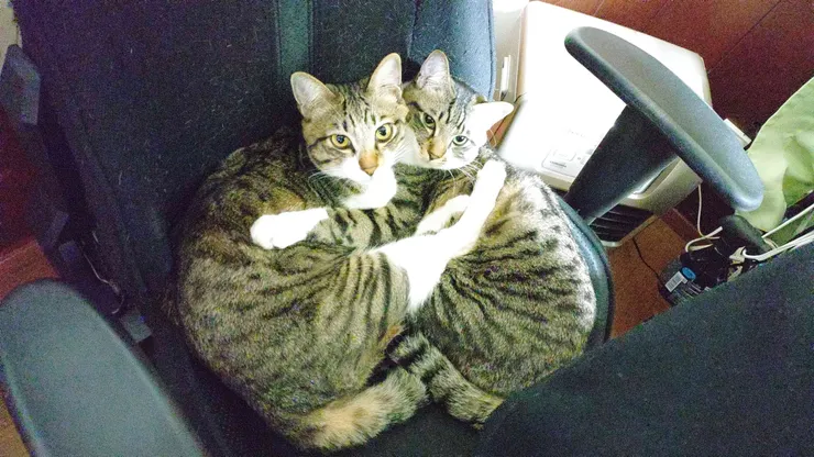 アイキャッチ