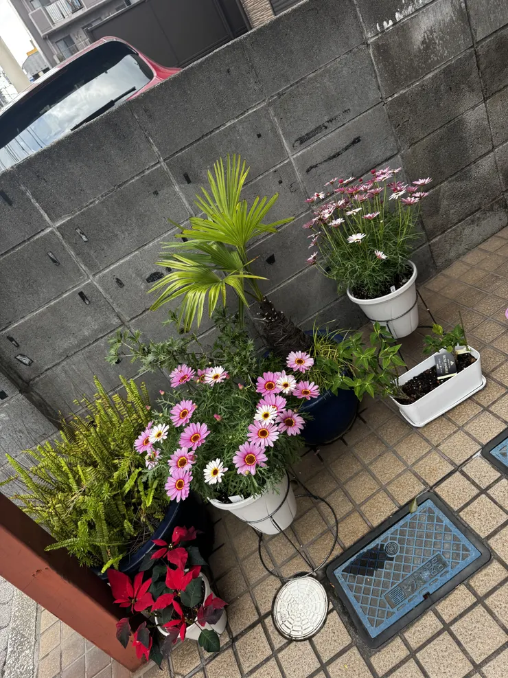 アイキャッチ