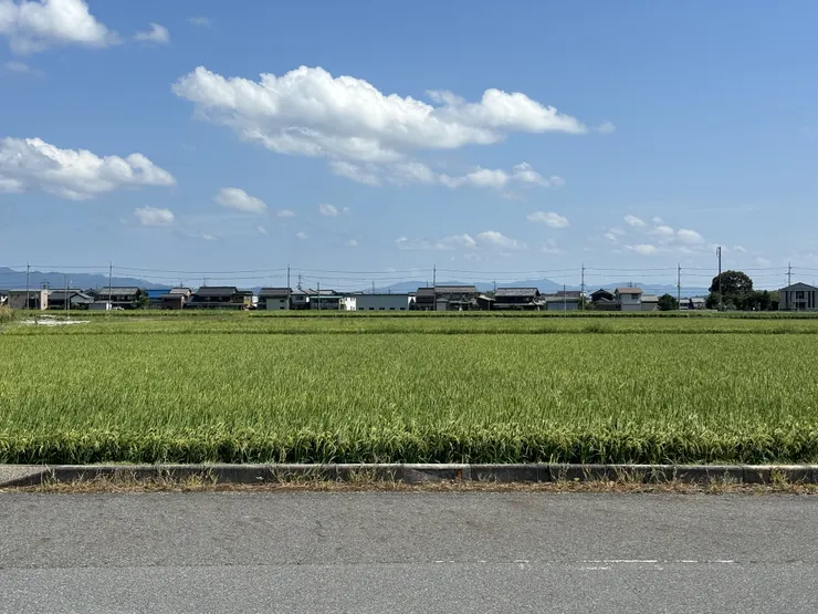 アイキャッチ