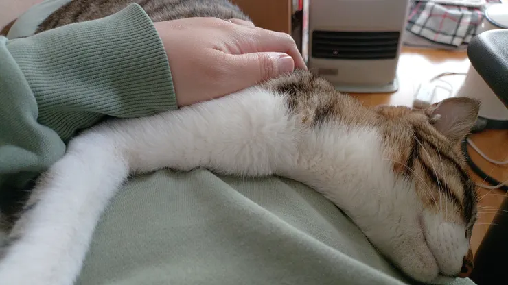 アイキャッチ