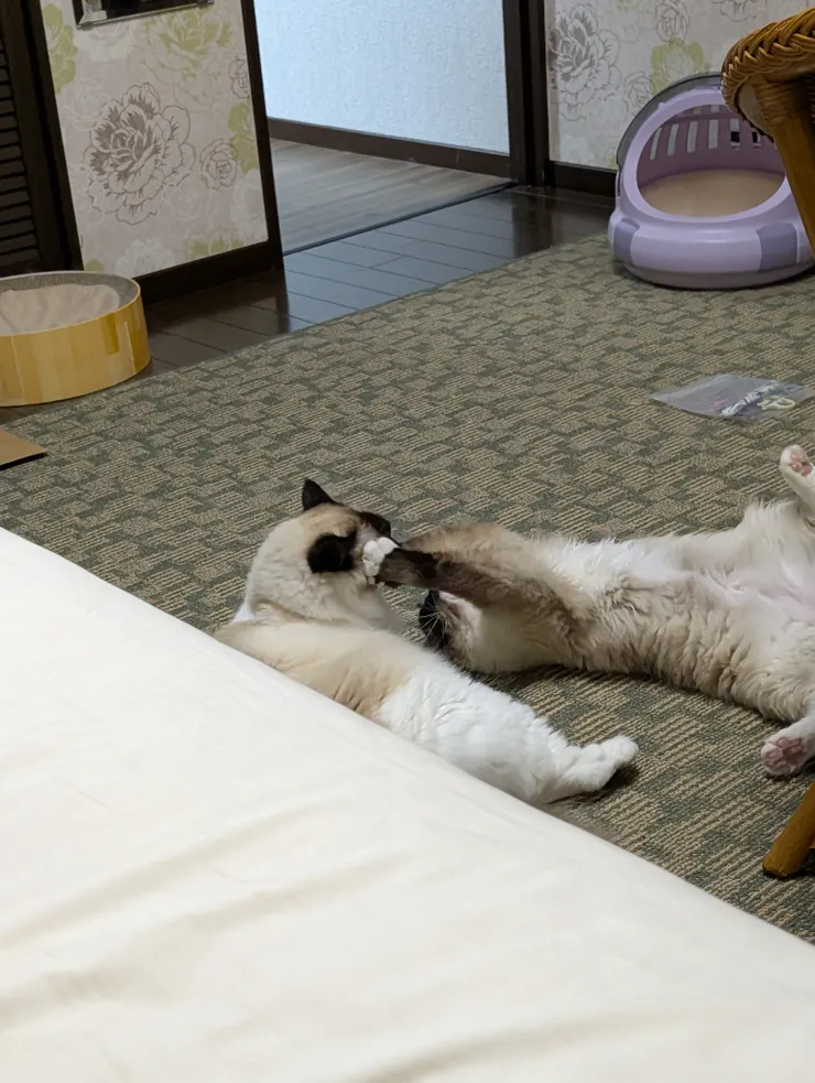 アイキャッチ