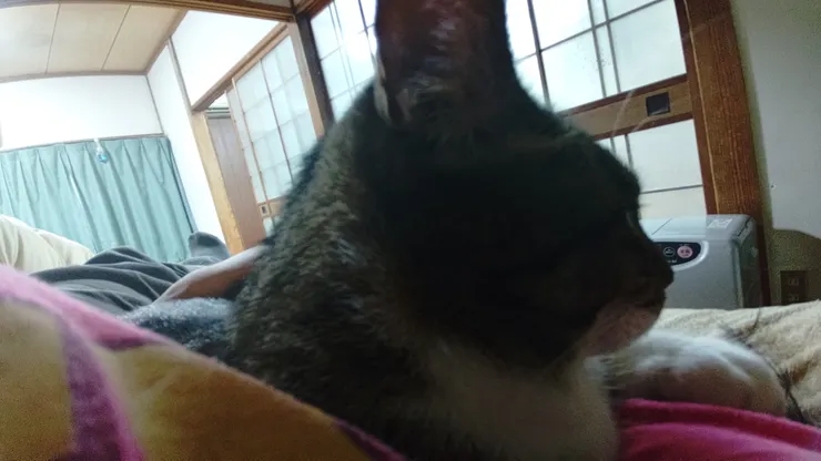 アイキャッチ