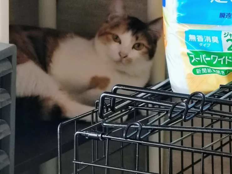 アイキャッチ