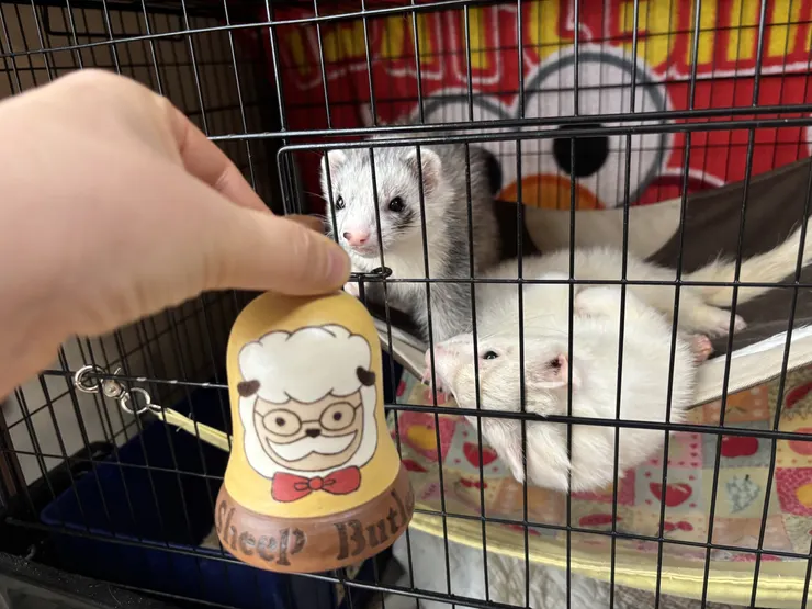 アイキャッチ