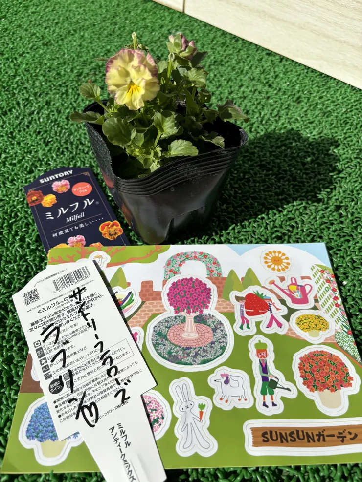 アイキャッチ