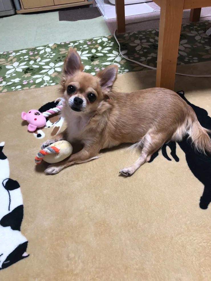 アイキャッチ