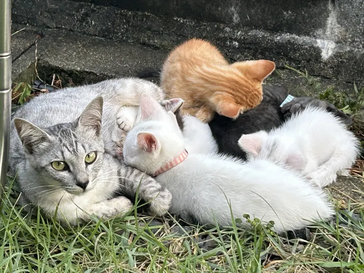 アイキャッチ