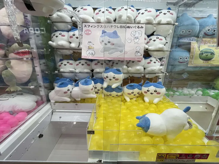 アイキャッチ