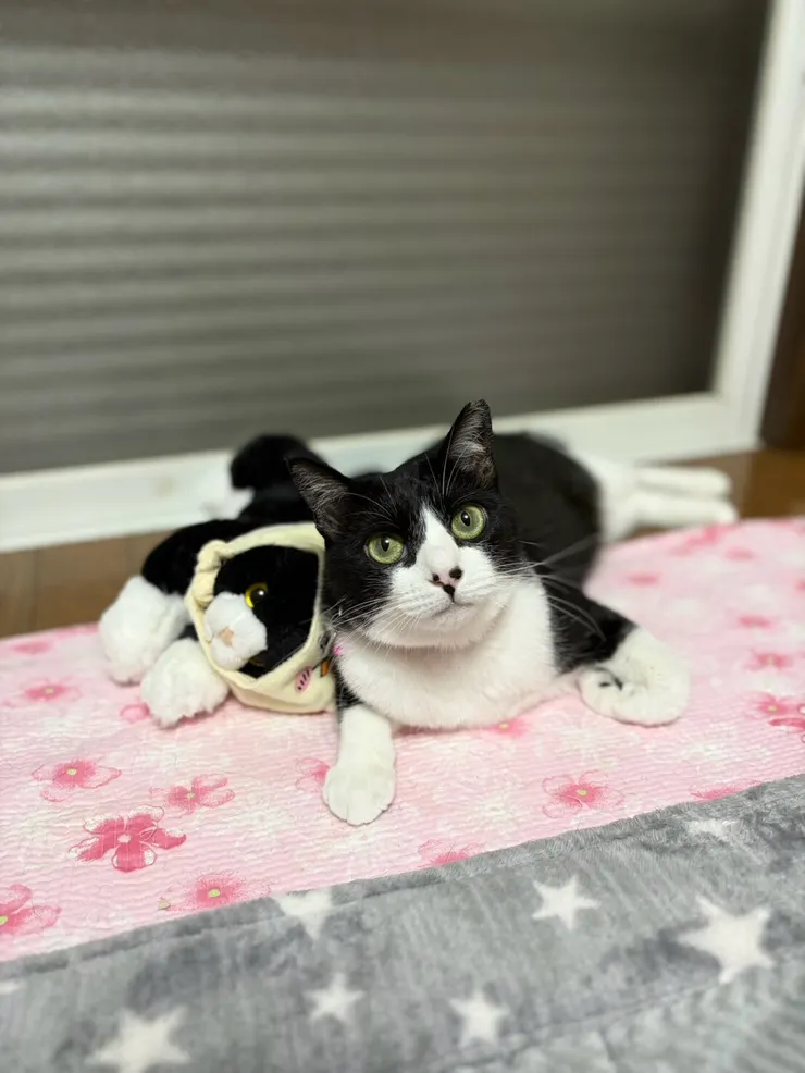 アイキャッチ