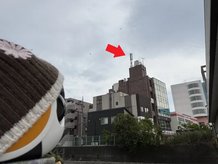 アイキャッチ