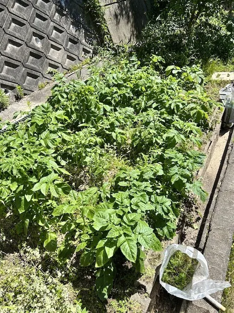 アイキャッチ