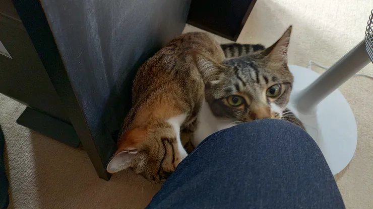 アイキャッチ