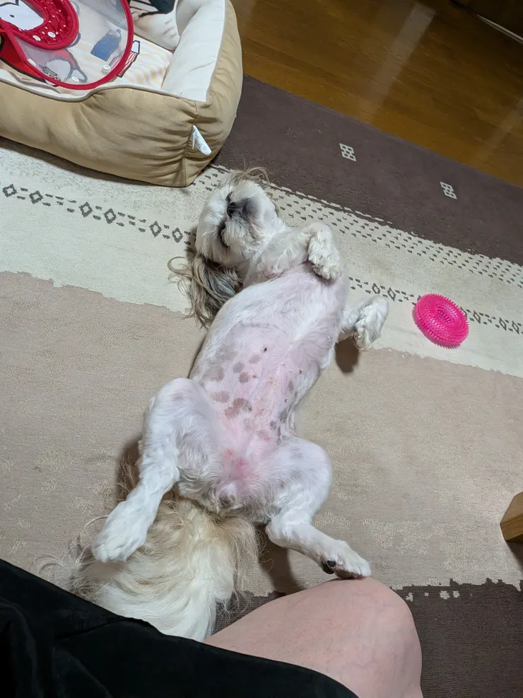 アイキャッチ