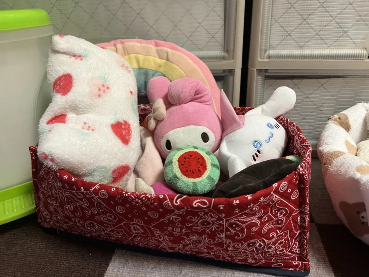 アイキャッチ