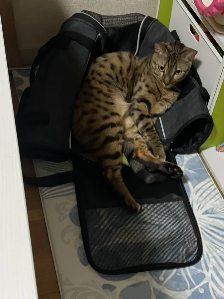 アイキャッチ