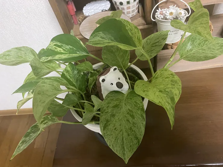 アイキャッチ