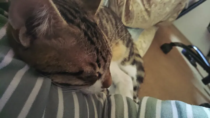 アイキャッチ