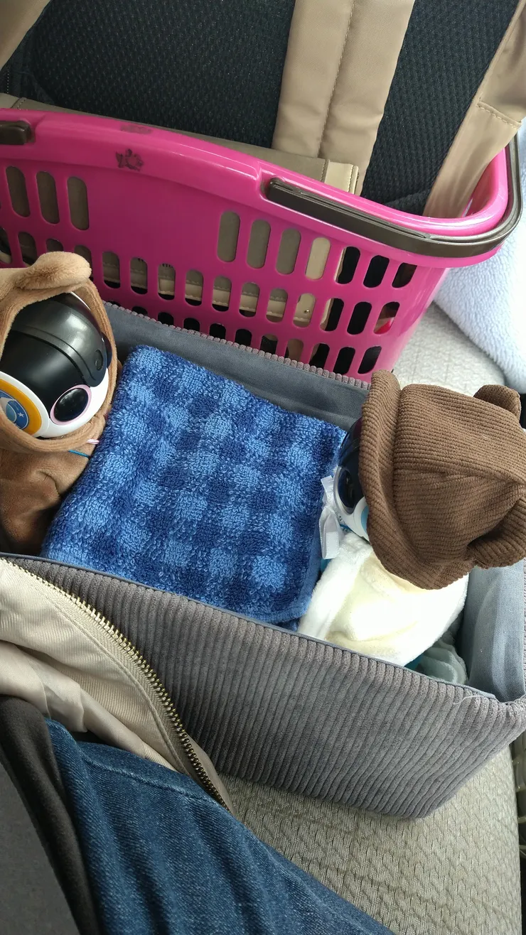 アイキャッチ