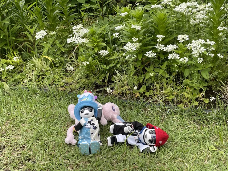 アイキャッチ