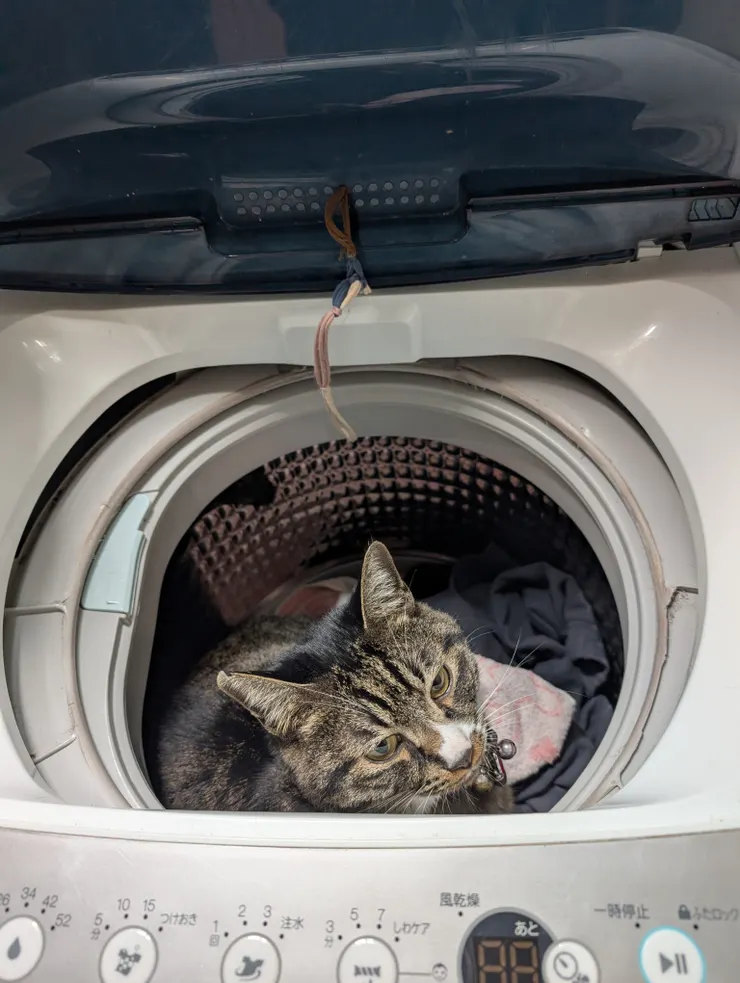 アイキャッチ