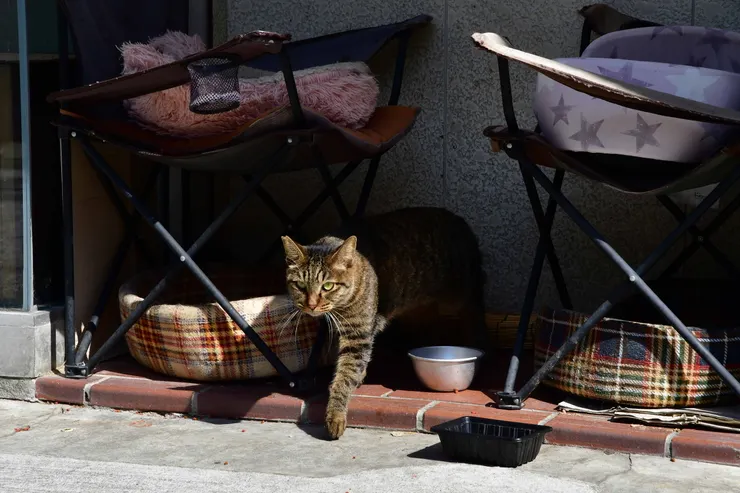 アイキャッチ