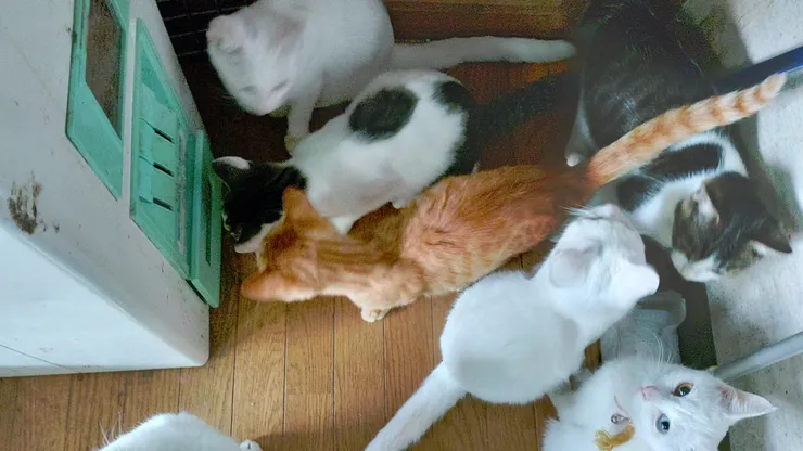 アイキャッチ