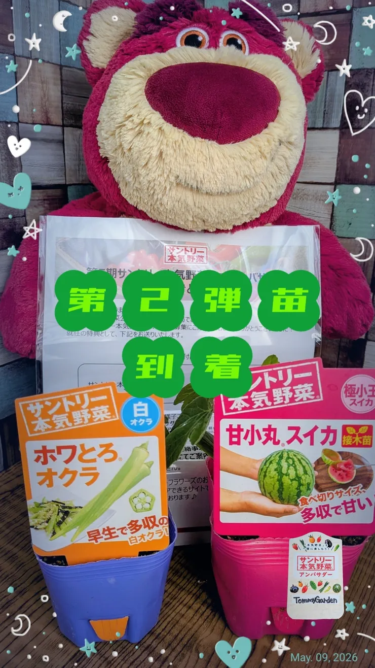 アイキャッチ