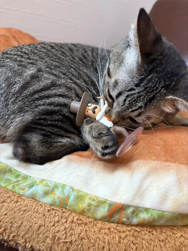アイキャッチ