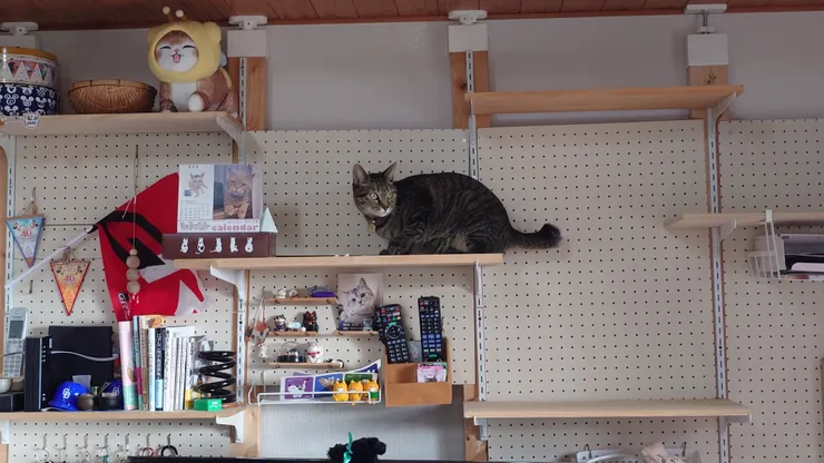 アイキャッチ