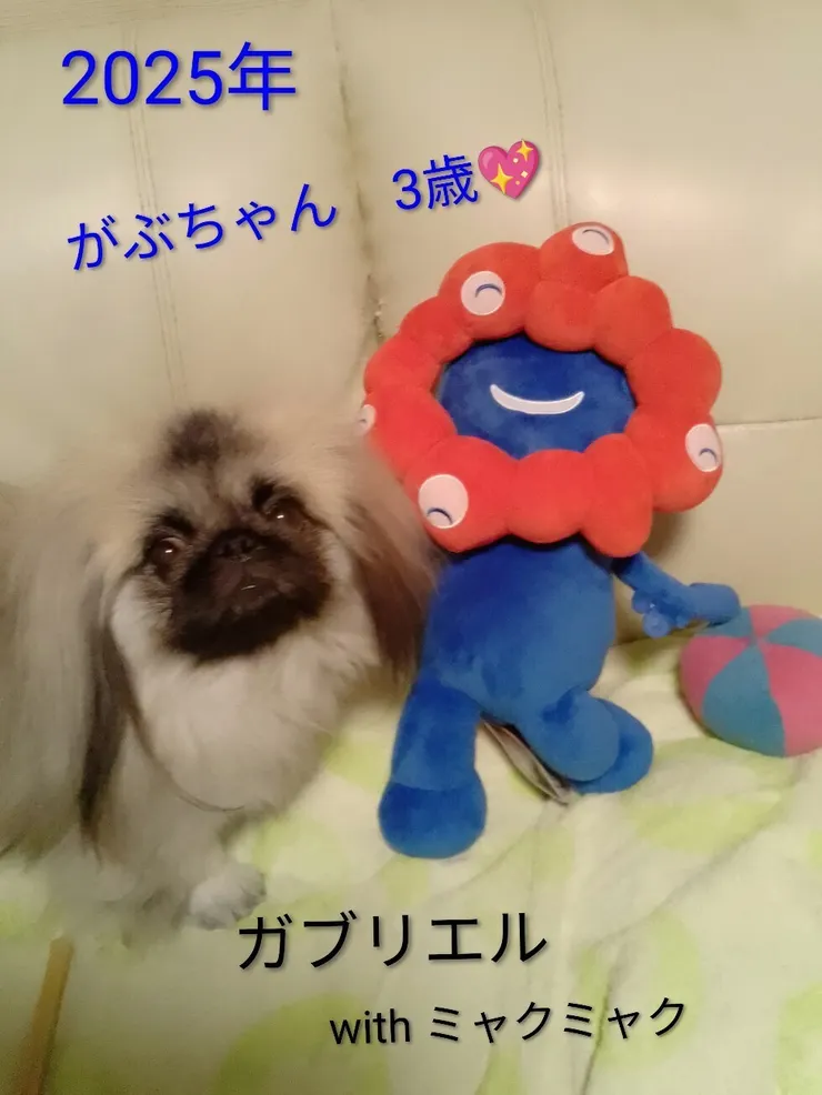 アイキャッチ