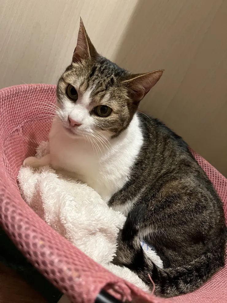 アイキャッチ
