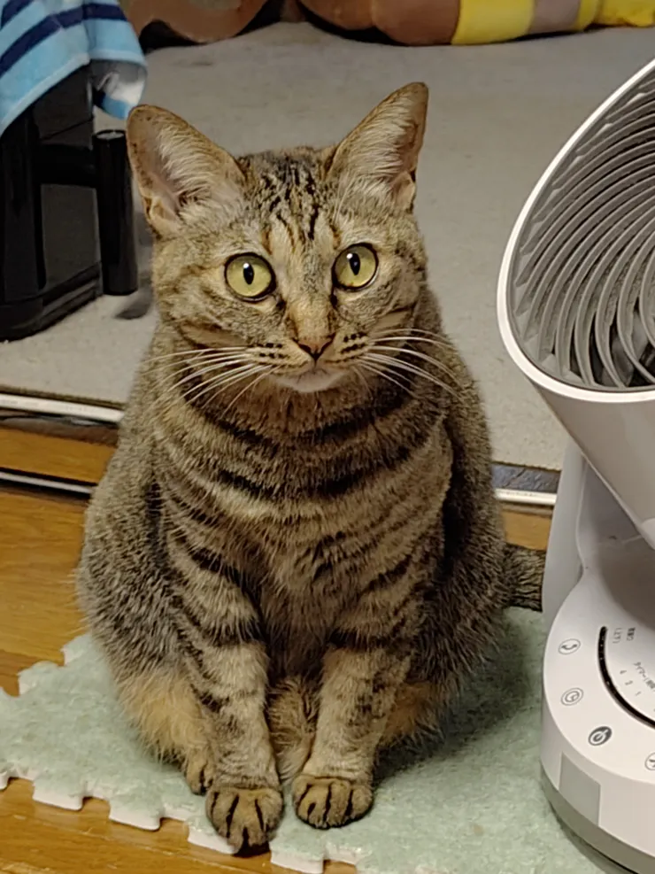 アイキャッチ