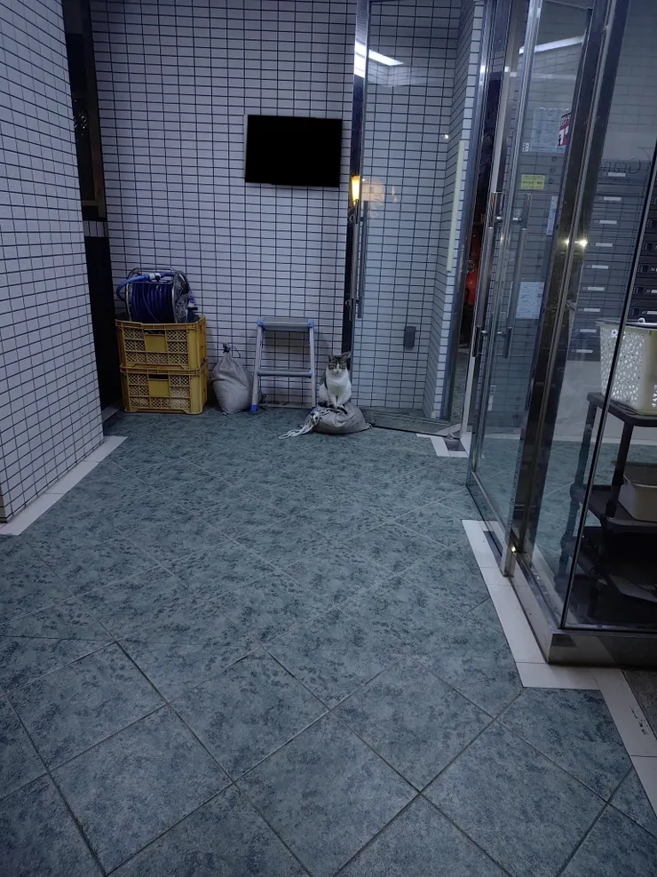 アイキャッチ