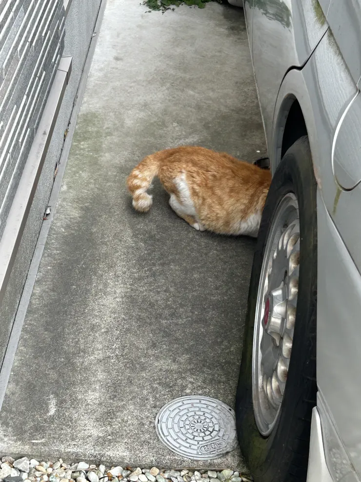 アイキャッチ
