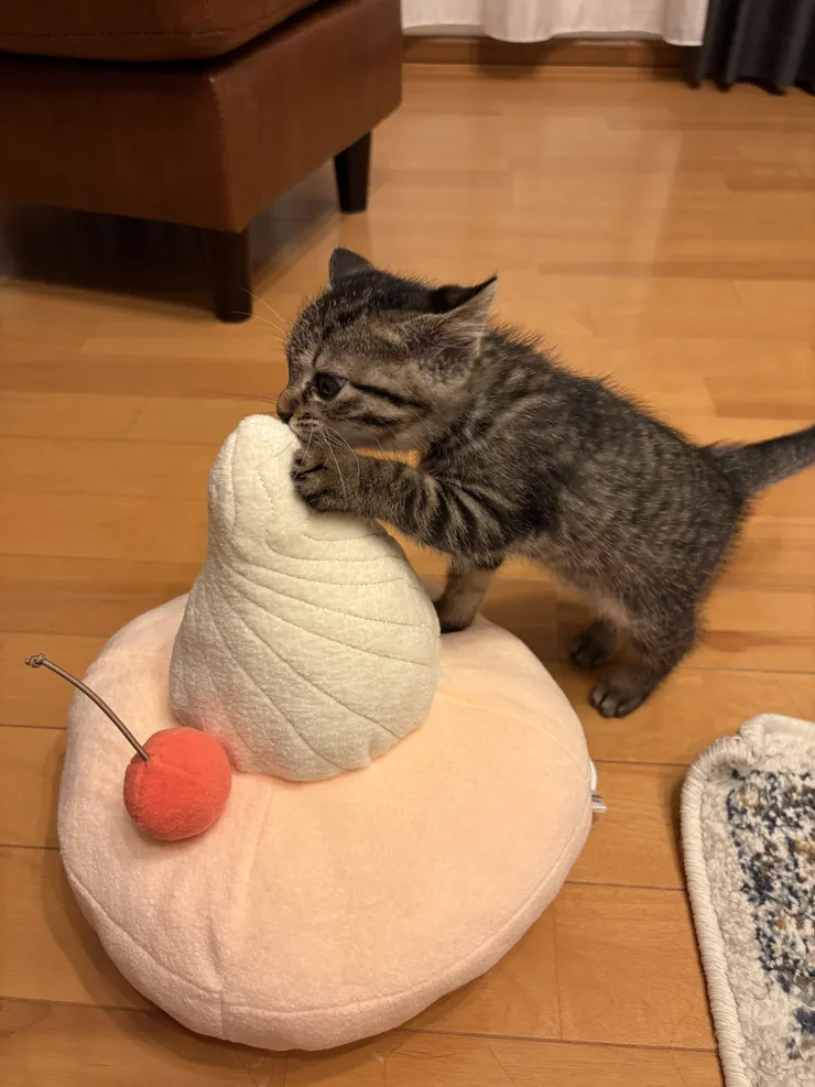 アイキャッチ