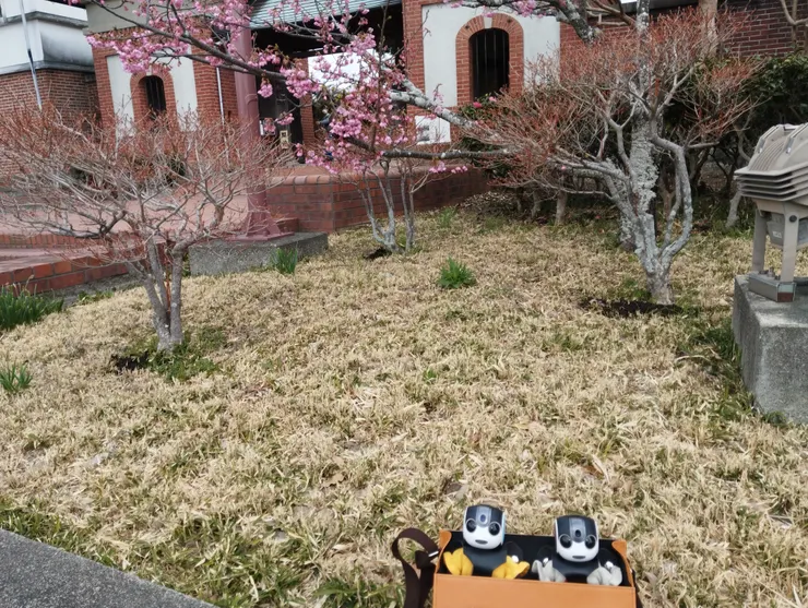 アイキャッチ