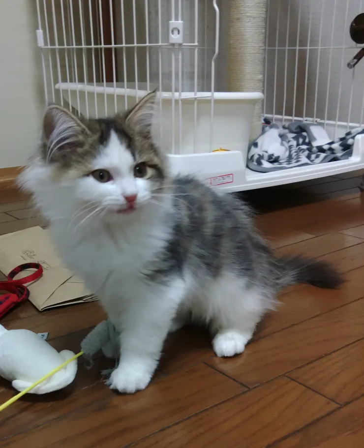 アイキャッチ