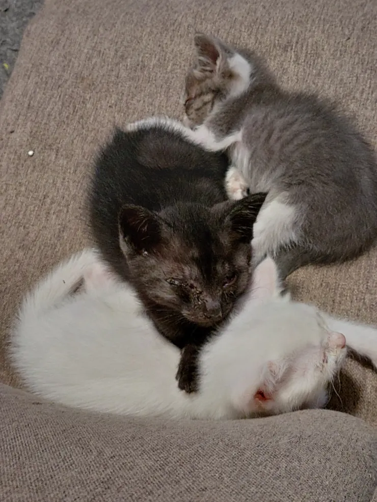 アイキャッチ