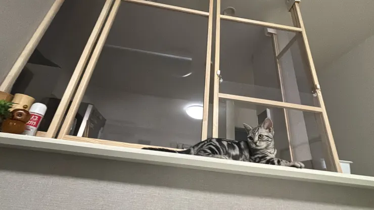 アイキャッチ