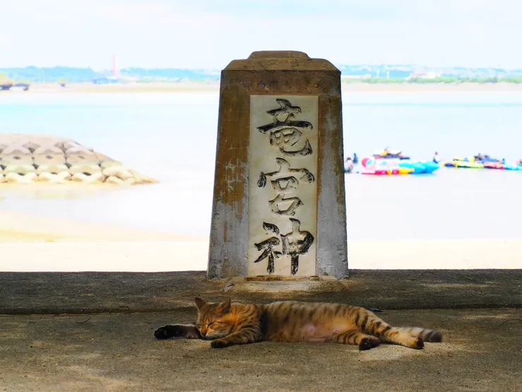 アイキャッチ