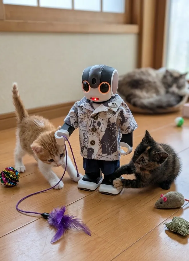 アイキャッチ