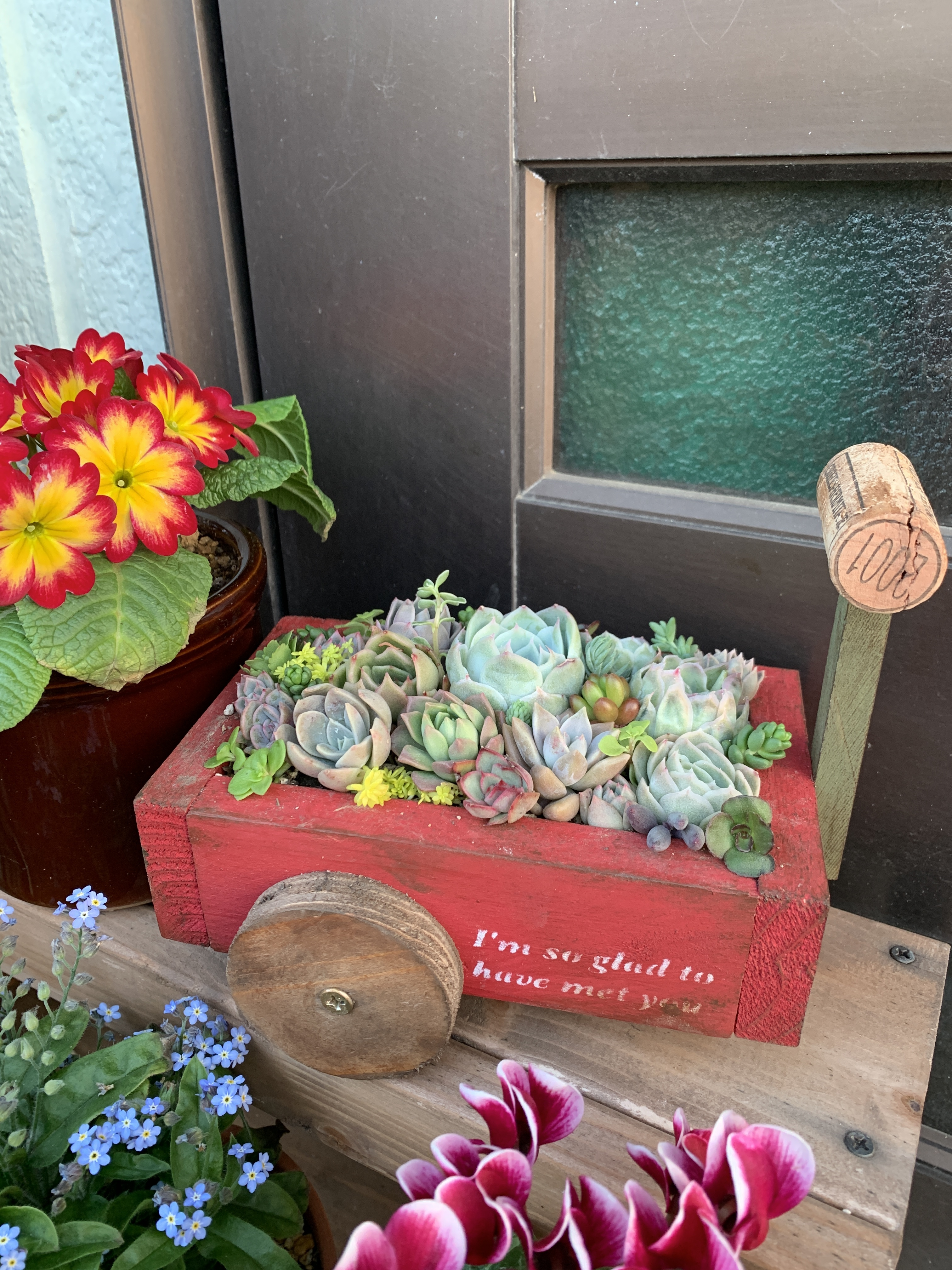 多肉植物　寄せ植え　ワゴン ワゴンに寄せ植え | CAINZ DIY Square