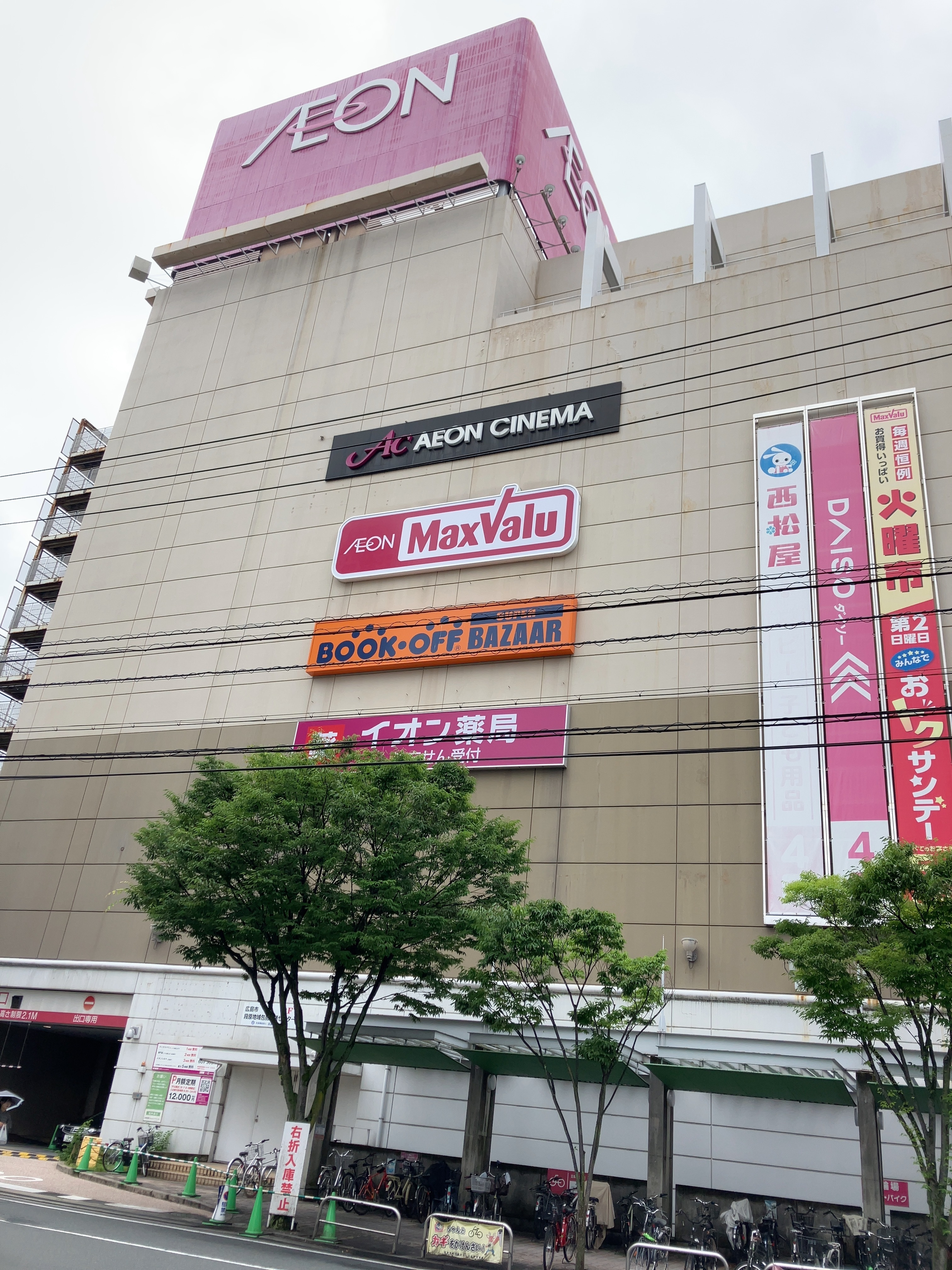 活動歴および当時の関連ビジュアル記録