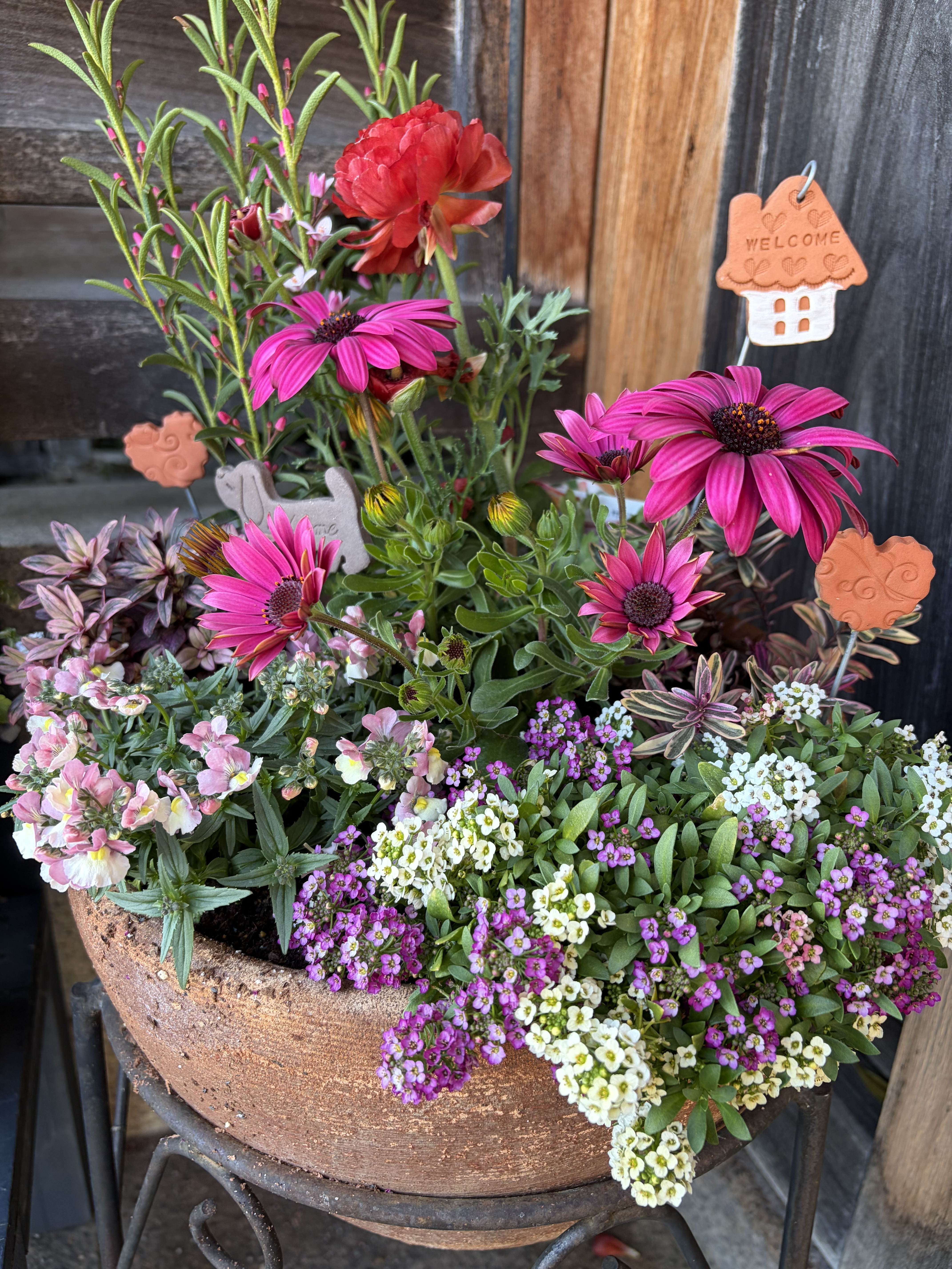 春の寄せ植え🌺 | CAINZ DIY Square